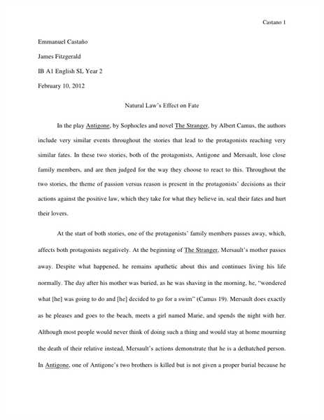 Essay on literature