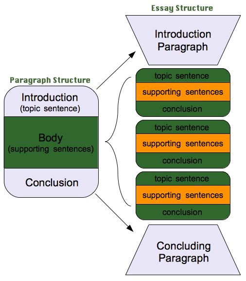 Structure of essay writing